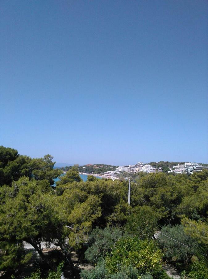 Comfortable Garden Apt Near Vouliagmeni Beach Atény Exteriér fotografie