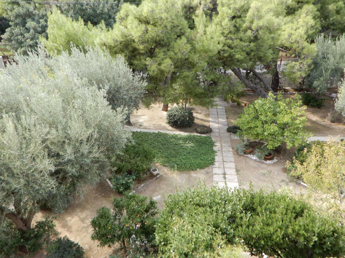 Comfortable Garden Apt Near Vouliagmeni Beach Atény Exteriér fotografie
